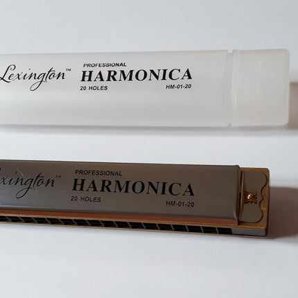 MIZIKA 20 DELİK  PROFESSIONAL HARMONICA