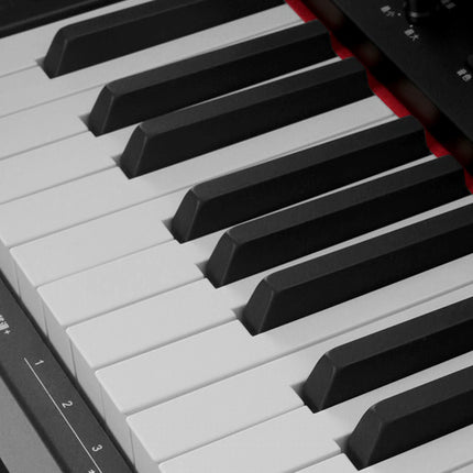 Nux WK-310 Black Digital Piano 