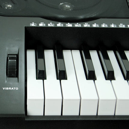 Organ Standard Keyboard 61 Keys XEK61223