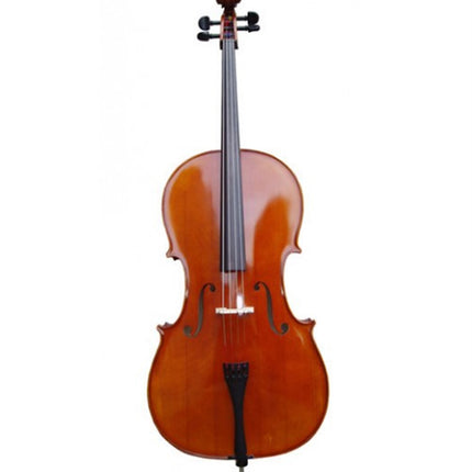 Picaldi 1/4 CG106 Cello