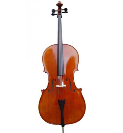 Picaldi 1/4 CG106 Cello
