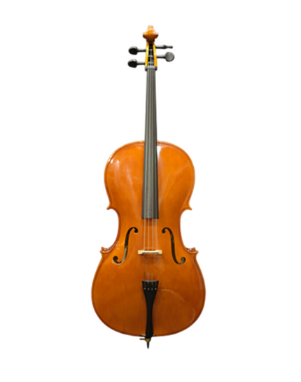 PICALDI CG001 4/4 ÇELLO