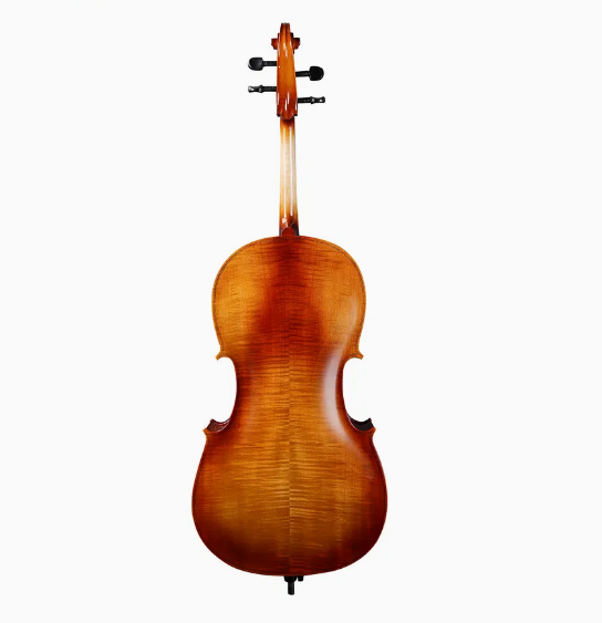 Picaldi CG010EHP 4/4 Çello