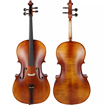 Picaldi CG210H 4/4 Tam Boy Çello