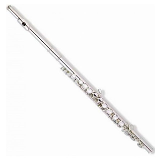 Picaldi Silver Flute JYFL-E110S