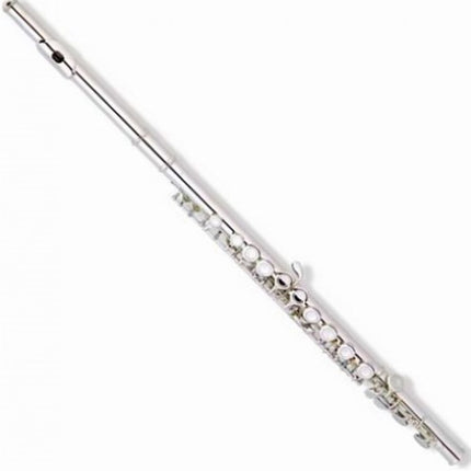 Picaldi Silver Flute JYFL-E110S