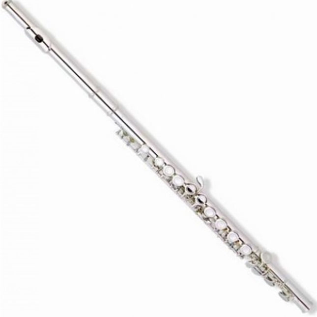 Picaldi Silver Flute JYFL-E110S