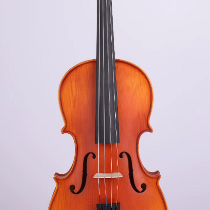 Picaldi LG107 16'' Viyola