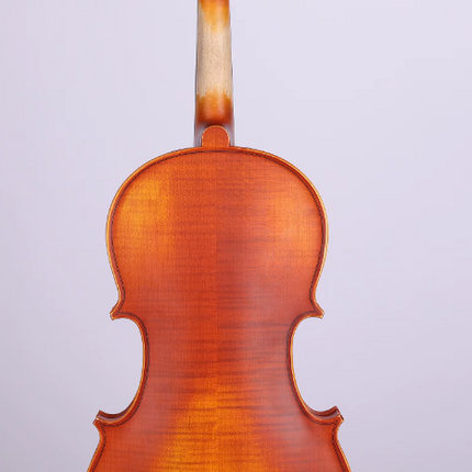 Picaldi LG107 16'' Viyola