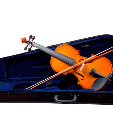 Picaldi Vg001 1/2 Keman