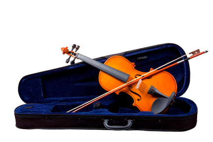 Picaldi VG001 4/4 Keman