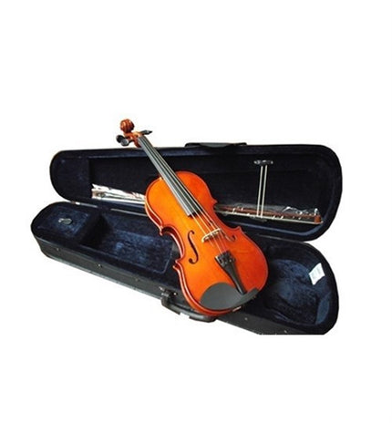 Picaldi VG106 1/4 Violin