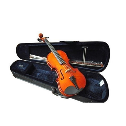 Picaldi VG106 1/4 Violin