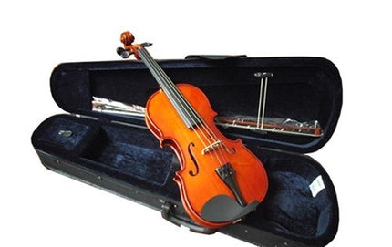 Picaldi VG106 4/4 Keman