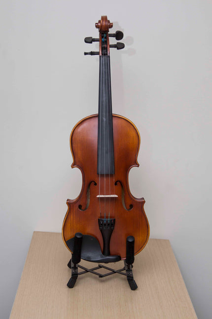 Picaldi VG107 4/4 Antik Keman