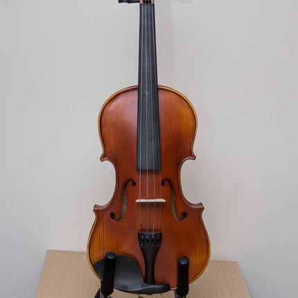 Picaldi VG107 4/4 Antik Keman