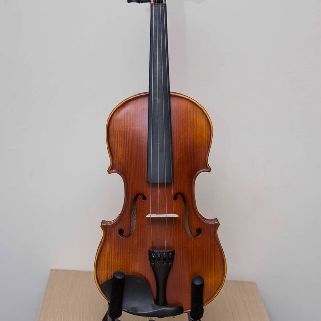 Picaldi VG107 4/4 Antik Keman