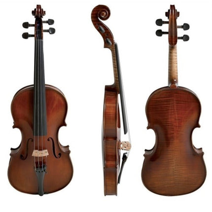 Picaldi VH100HY 4/4 Keman