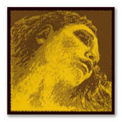 Pirastro Evah Pirazzi G-Gold Medium Set Keman Teli 415021