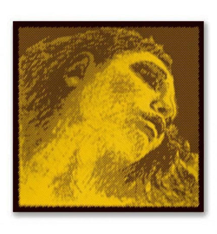 Pirastro Evah Pirazzi G-Gold Medium Set Keman Teli 415021