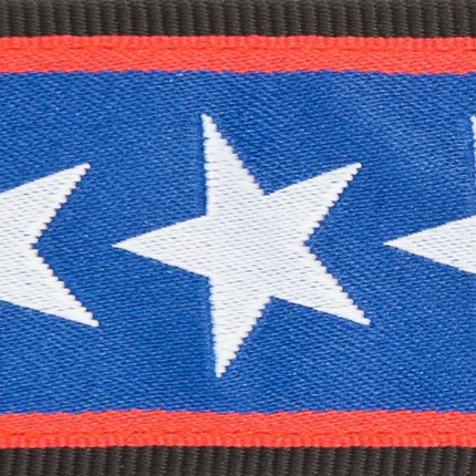 PLANETWAVES 50PLA10 GİTAR ASKISI, 50MM, LOCK-STARS STRIPES