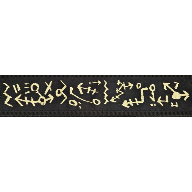 PLANETWAVES 50PM01 GİTAR ASKISI, DOKUMA, PAT METHENY TRAVELS