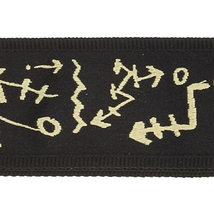 PLANETWAVES 50PM01 GİTAR ASKISI, DOKUMA, PAT METHENY TRAVELS