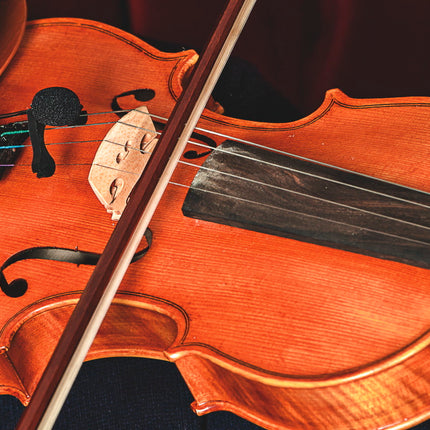 Prodipe VL-21 Lanen Violin &amp; Viola Microphone