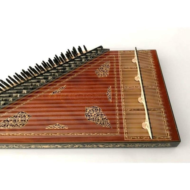 Profesyonel Kanun Ymk-123