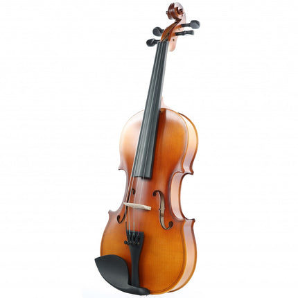 Rosa RV044M 4/4 Matte Polished Violin