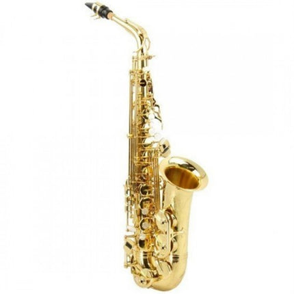 Roy Benson Alto Saxophone AS202 RB700601