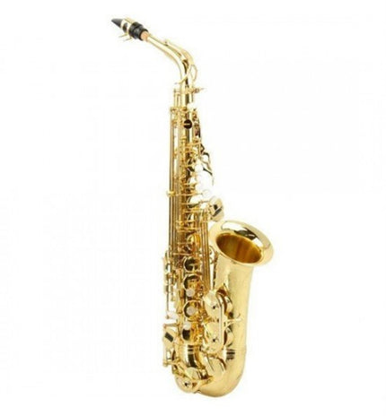 Roy Benson Alto Saxophone AS202 RB700601