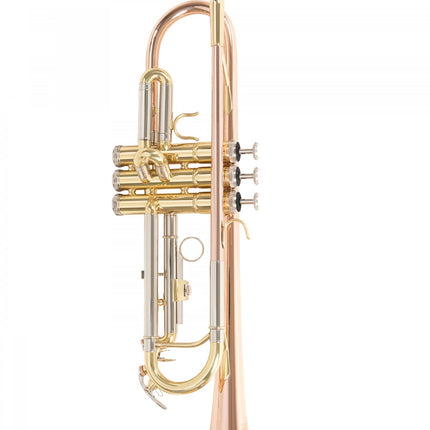 Roy Benson TR-202G Bb Trumpet 