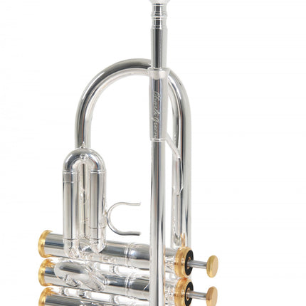 Roy Benson TR-CGS Charlie Green Signature Trumpet 