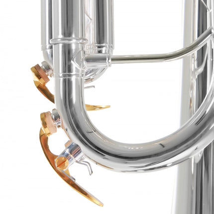 Roy Benson TR-CGS Charlie Green Signature Trumpet 