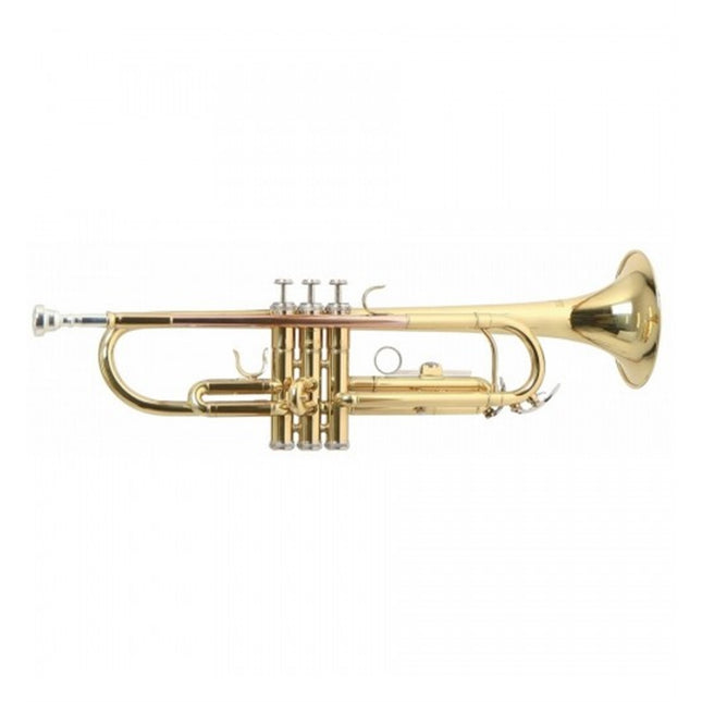Roy Benson Trumpet TR101 RB701050