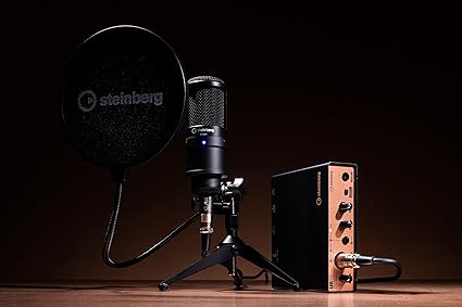 Steinberg UR12 Podcast Starter Pack Recording Package
