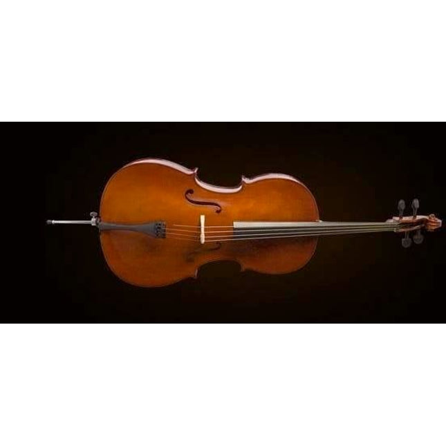 VALENCIA CE160F44 ÇELLO, FRENCH STYLE, 4/4