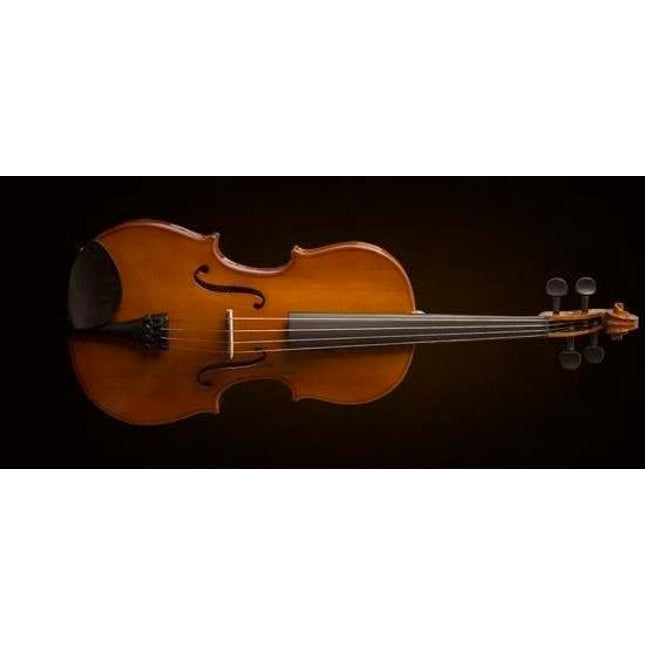 VALENCIA VA16038 VİYOLA KUTULU 15" (38cm)