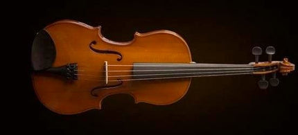 VALENCIA VA16038 VİYOLA KUTULU 15" (38cm)