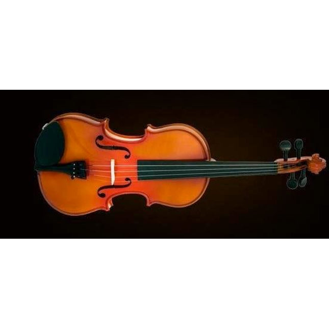 VALENCIA VA40040 VİYOLA KUTULU 16" (40,64cm)