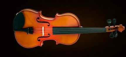 VALENCIA VA40040 VİYOLA KUTULU 16" (40,64cm)