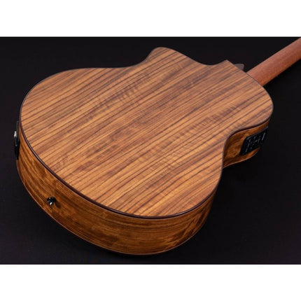 Washburn BTS9VCECH Bella Tono Vite S9V Electric Acoustic Guitar 