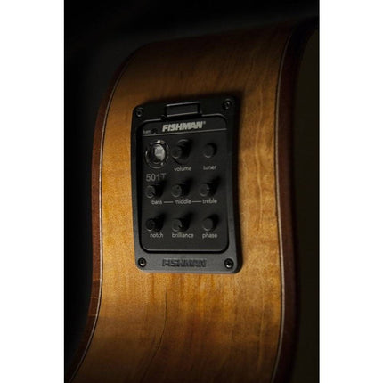 Washburn Comfort Serisi WCG66SCE  Elektro Akustik Gitar