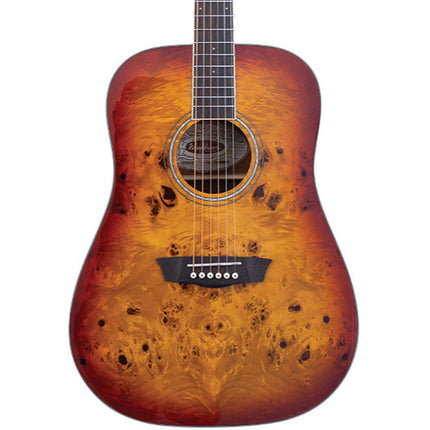 Washburn Deep Forest Burl Amber Fade Acoustic Guitar 