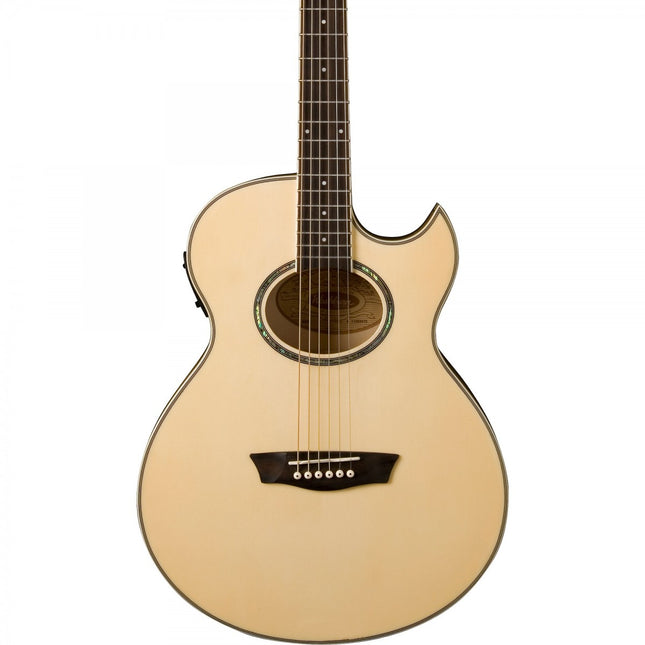 Washburn EA20 Electric Acoustic Guitar 