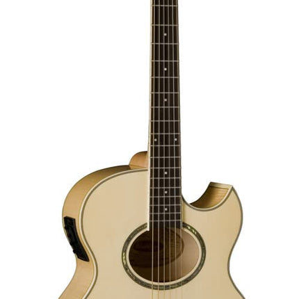 Washburn EA20 Electric Acoustic Guitar 