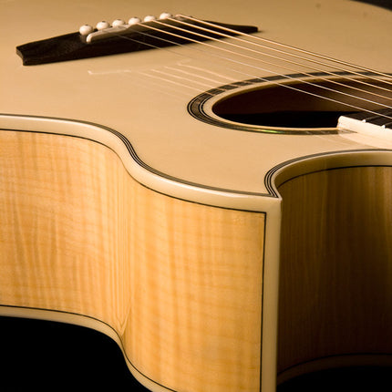 Washburn EA20 Electric Acoustic Guitar 
