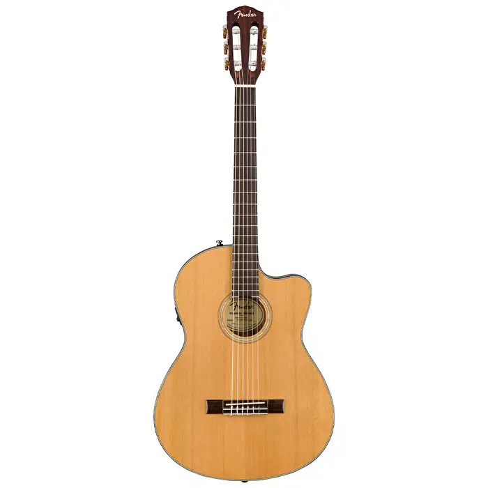 Elektro Klasik Gitarlar