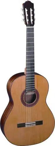 Almansa 950 403 Cedro Klasik Gitar | Sedir Üst Kapak, İspanyol El Yapımı, Maun Gövde, Profesyonel Konser Serisi
